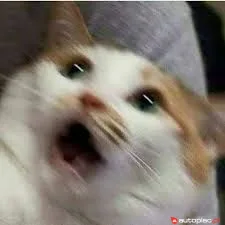 Access Motor Czterokołowce 2021 na sprzedaż