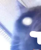 Borgward BX7 2003 na sprzedaż