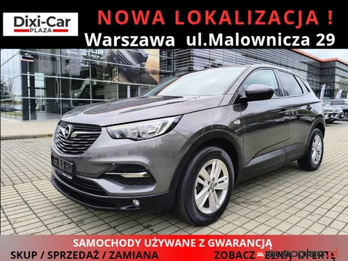 Opel Grandland 1.5 cdti 130KM Automat Navi Serwis - 54900 PLN, 175000