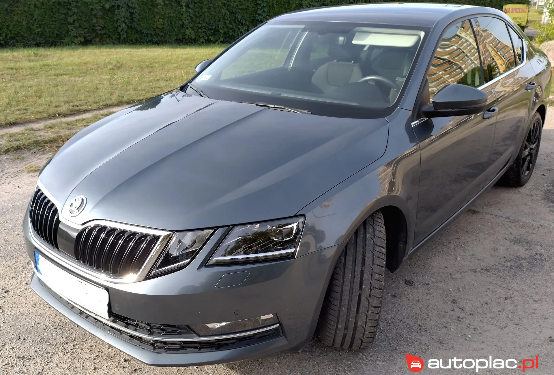 Skoda Octavia 2017 na sprzedaż