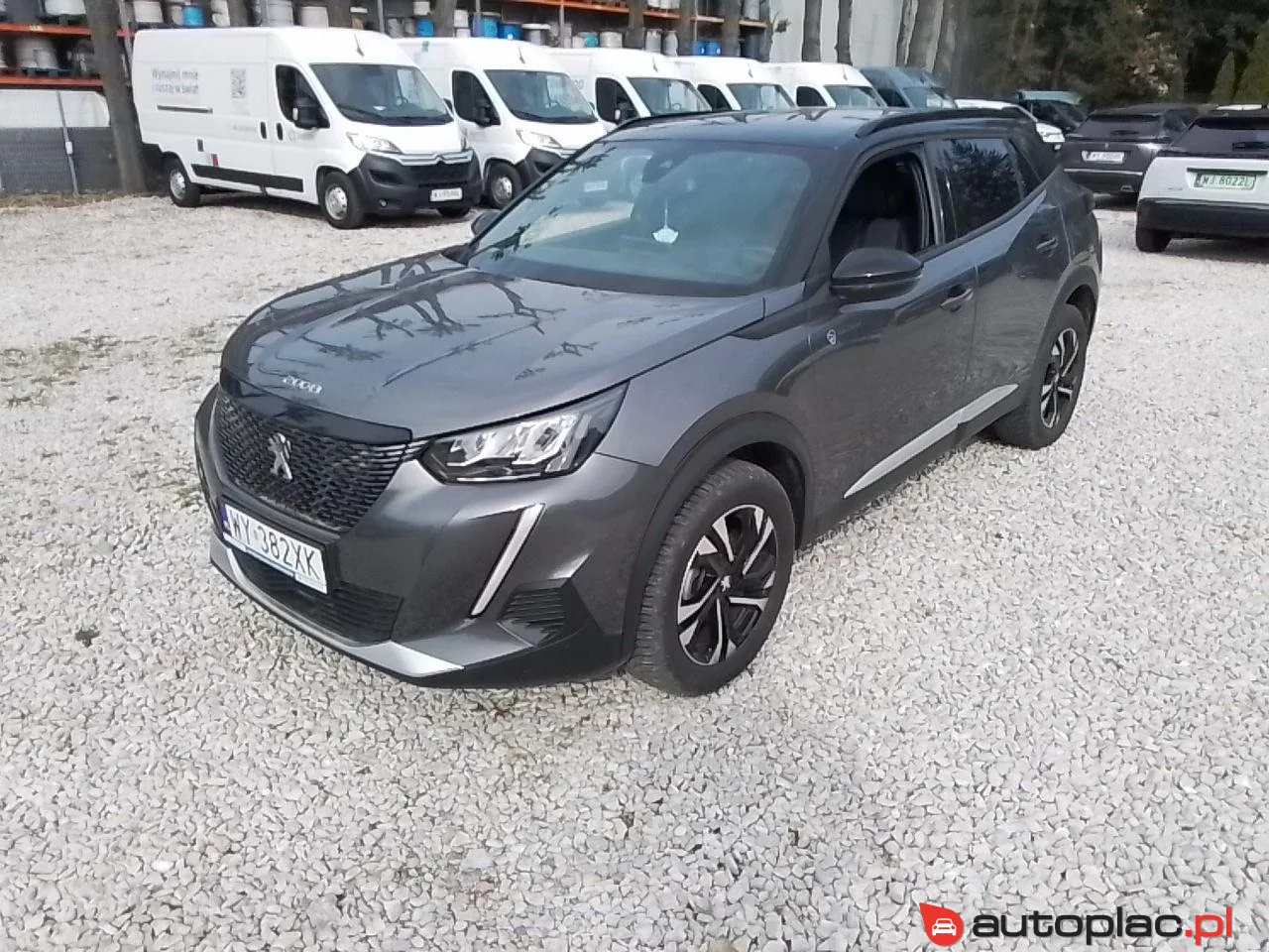 Peugeot 2008 2023 na sprzedaż