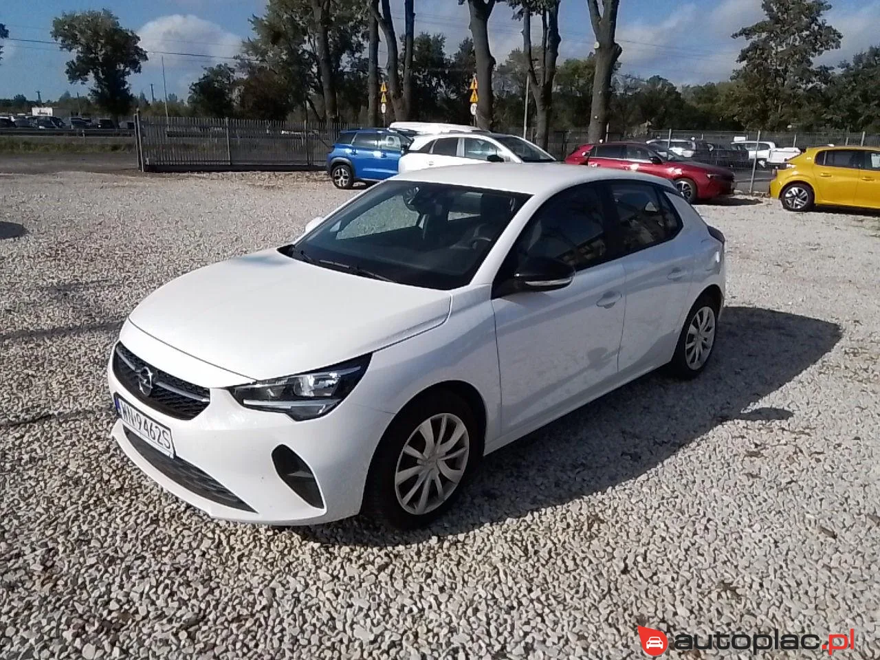 Opel Corsa 2023 na sprzedaż