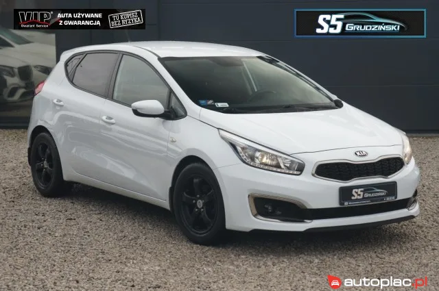 Kia Ceed 2016 na sprzedaż