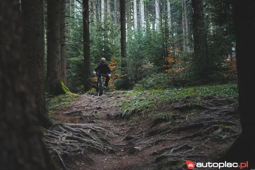 Adams jl adams adams adams adams adams adams adams adams adams Adams