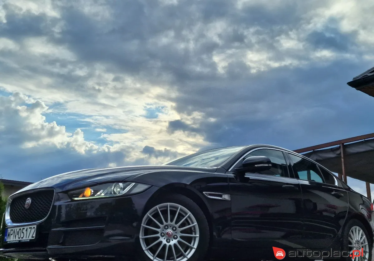 Jaguar XE 2016 na sprzedaż