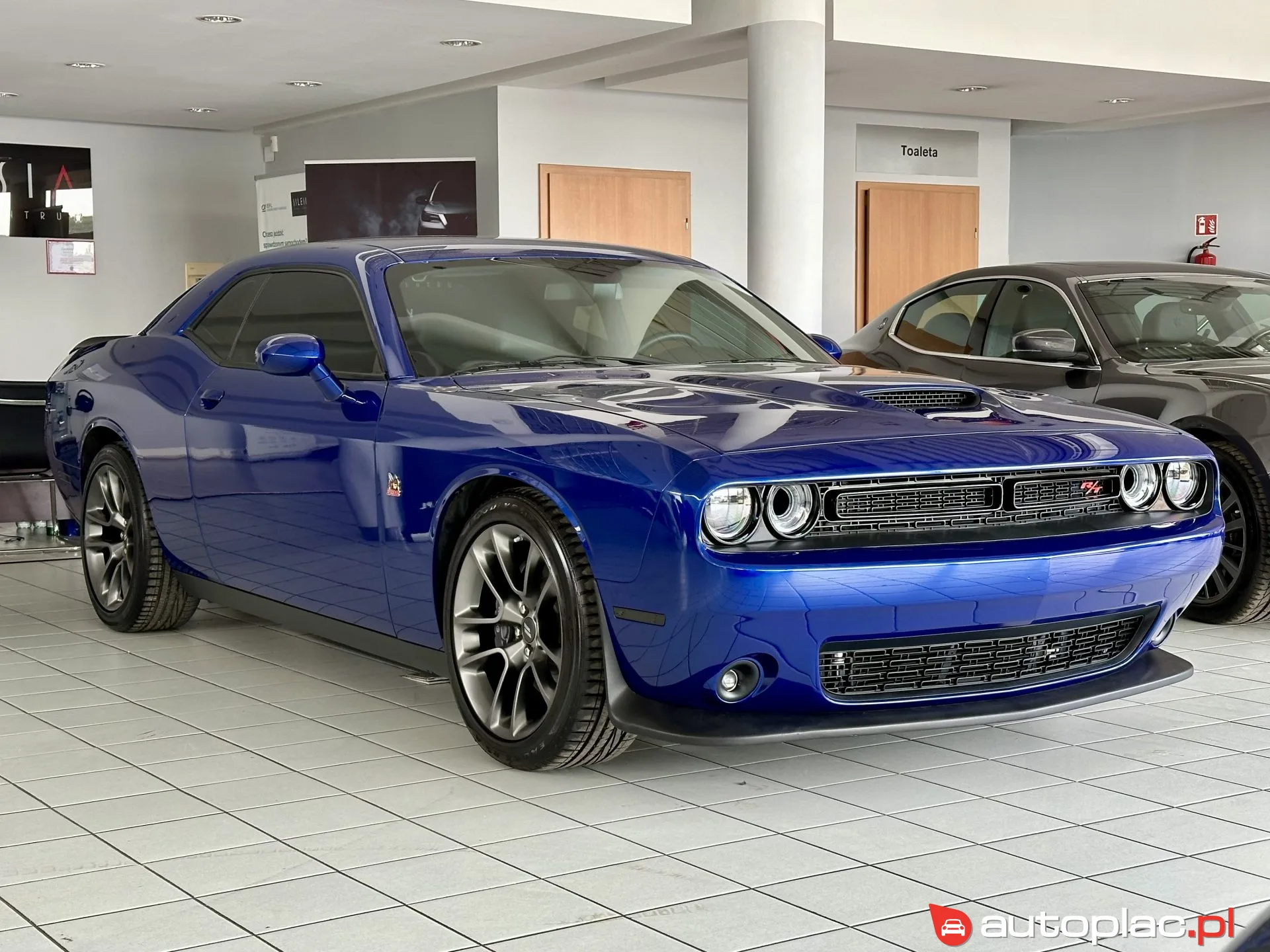 Dodge Challenger 2022 na sprzedaż