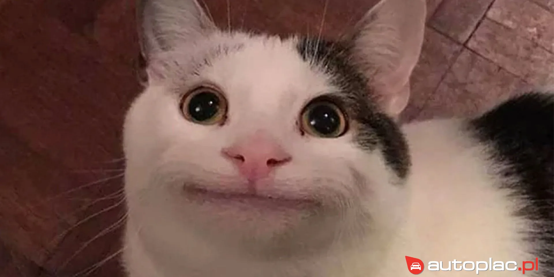 Acura El 2021 na sprzedaż